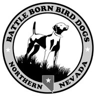 BattleBornBirdDogs