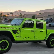 Gecko21