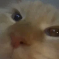KWRubi