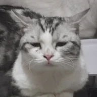 alwsinker