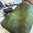 Green_2021