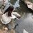 lilianna123