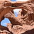 MoabRat