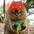 VengefulQuokka